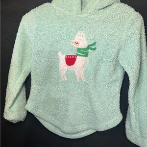 SO Mint Green Sherpa Hoodie with Llama Patch